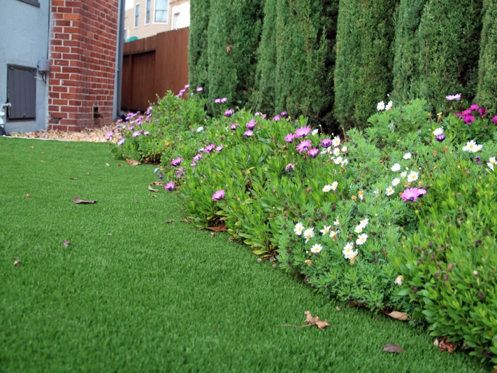 Turf Grass Yorkshire, Virginia City Landscape, Front Yard Landscape Ideas